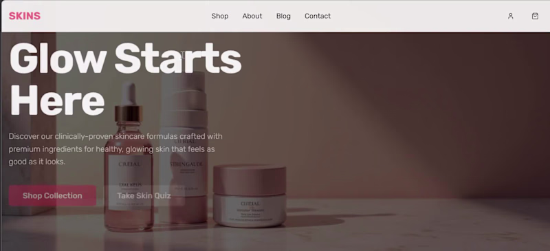 Cover image for Skins e commerce website