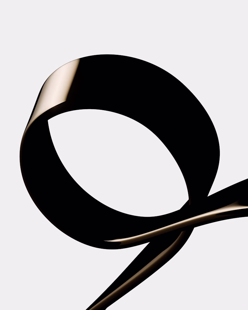 Cover image for PROJECT
MAMMII: explores the tension between