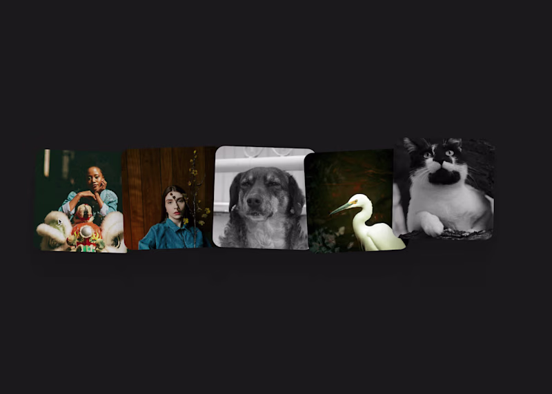 Cover image for DeckFlow is a premium, interactive