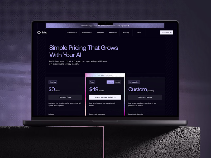 Cover image for Echo AI Pricing Page Development