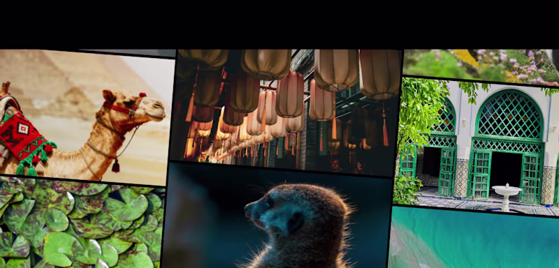 Cover image for Hope everyone is having a great weekend! 🙌 I built this com...