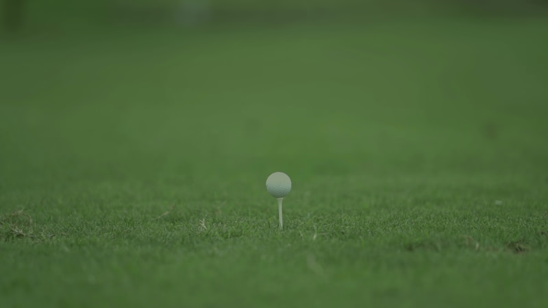Cover image for CityGolf Strategic Logo Design - Final 50% Balance