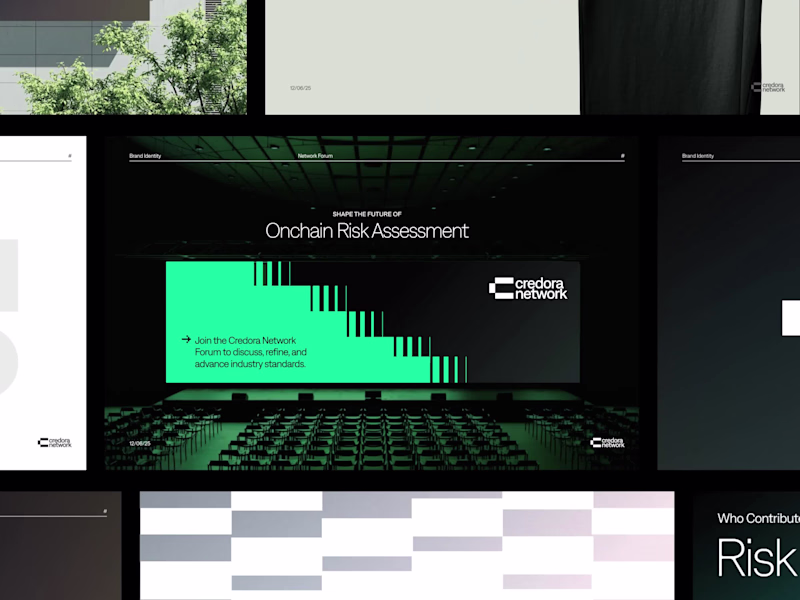 Cover image for Credora Rebrand for Institutional Clarity