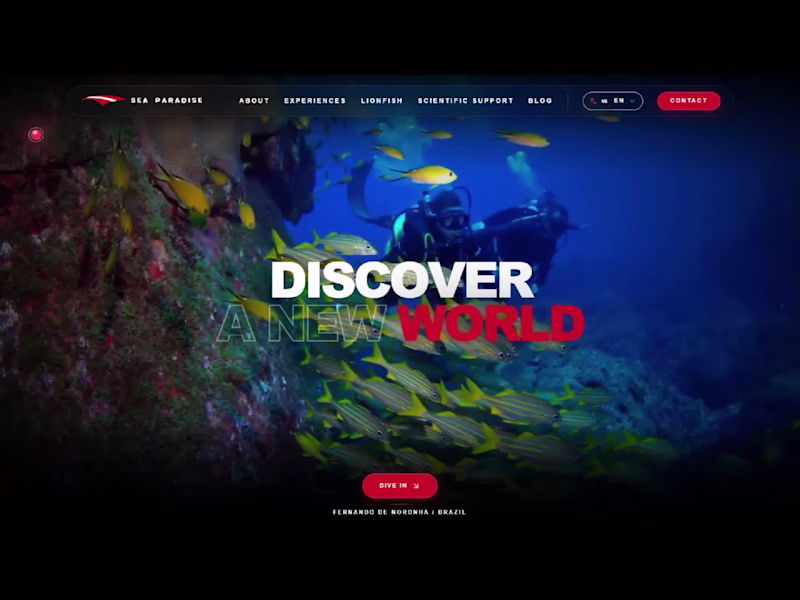 Cover image for Modern Scuba Diving Website Design to Boost Bookings