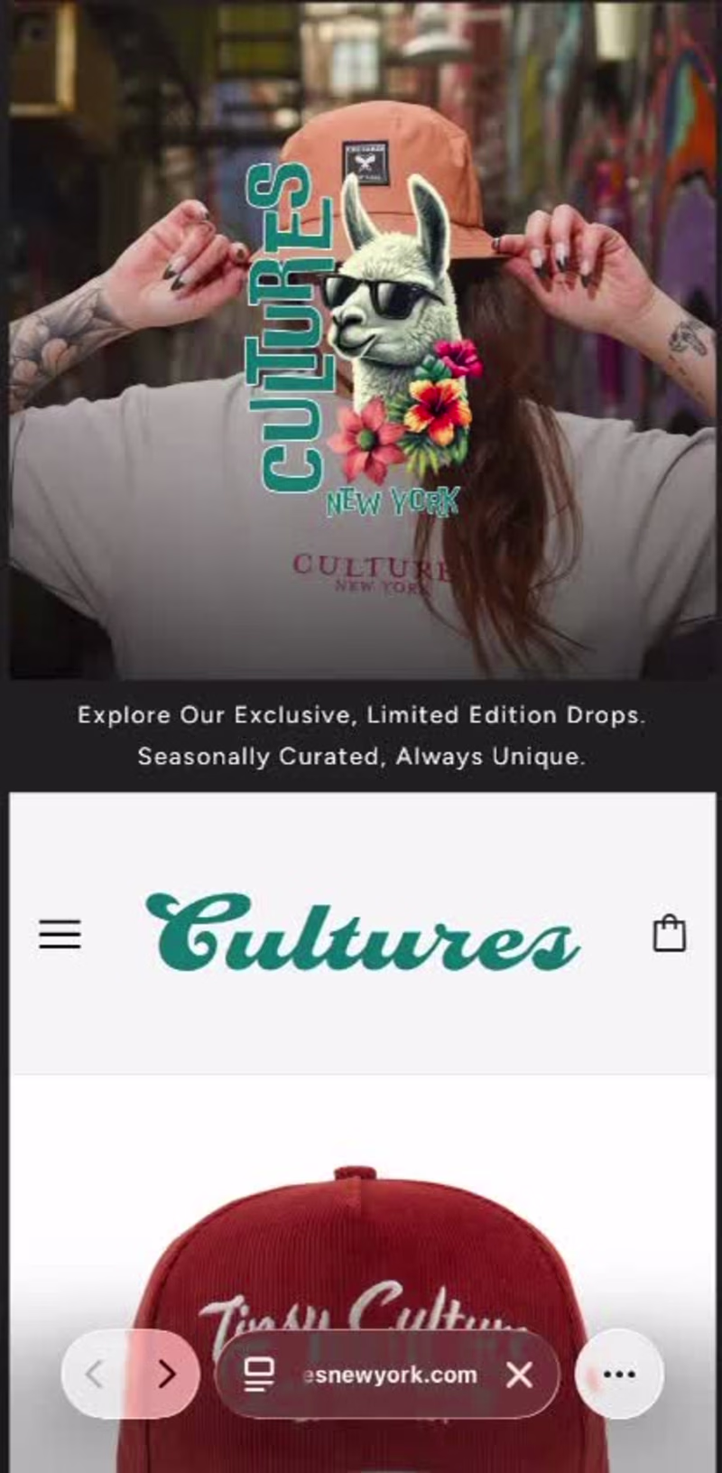 Cover image for Custom Shopify Store Design &