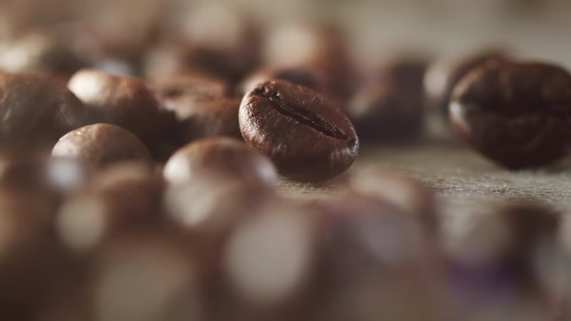 Cover image for Created a cinematic brand video