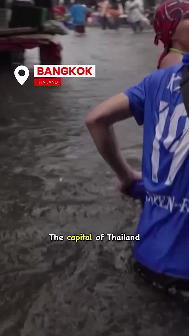 Cover image for Short-Form Excerpt from a Thailand Documentary