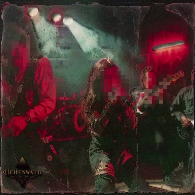 Cover image for Digital Hardcore was more than