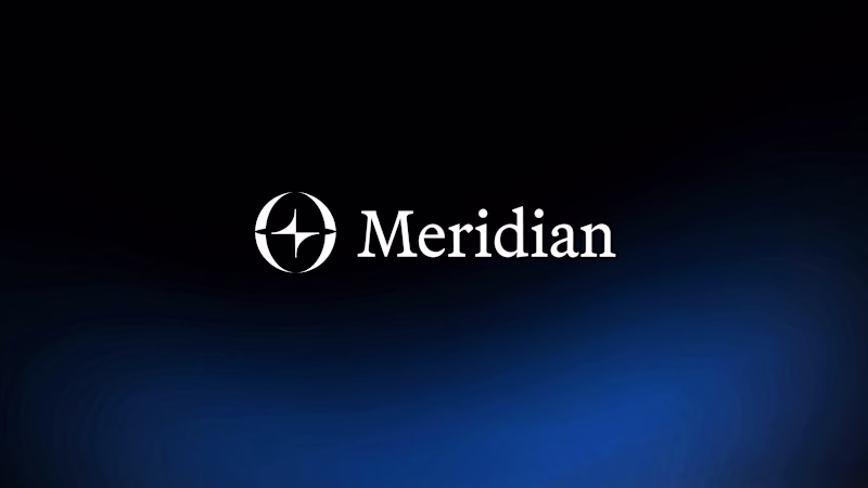 Cover image for Defining Meridian Lab Identity