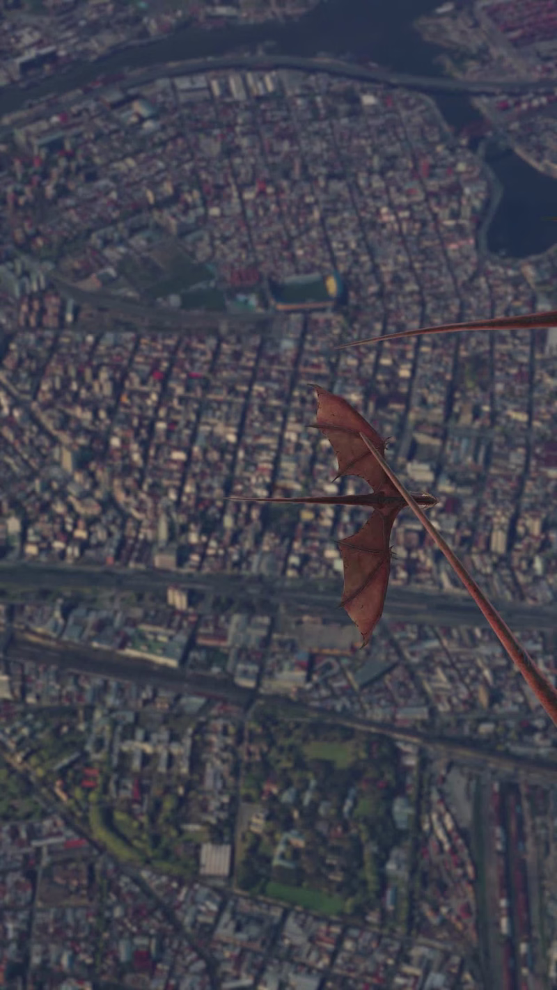 Cover image for Casa Dragon