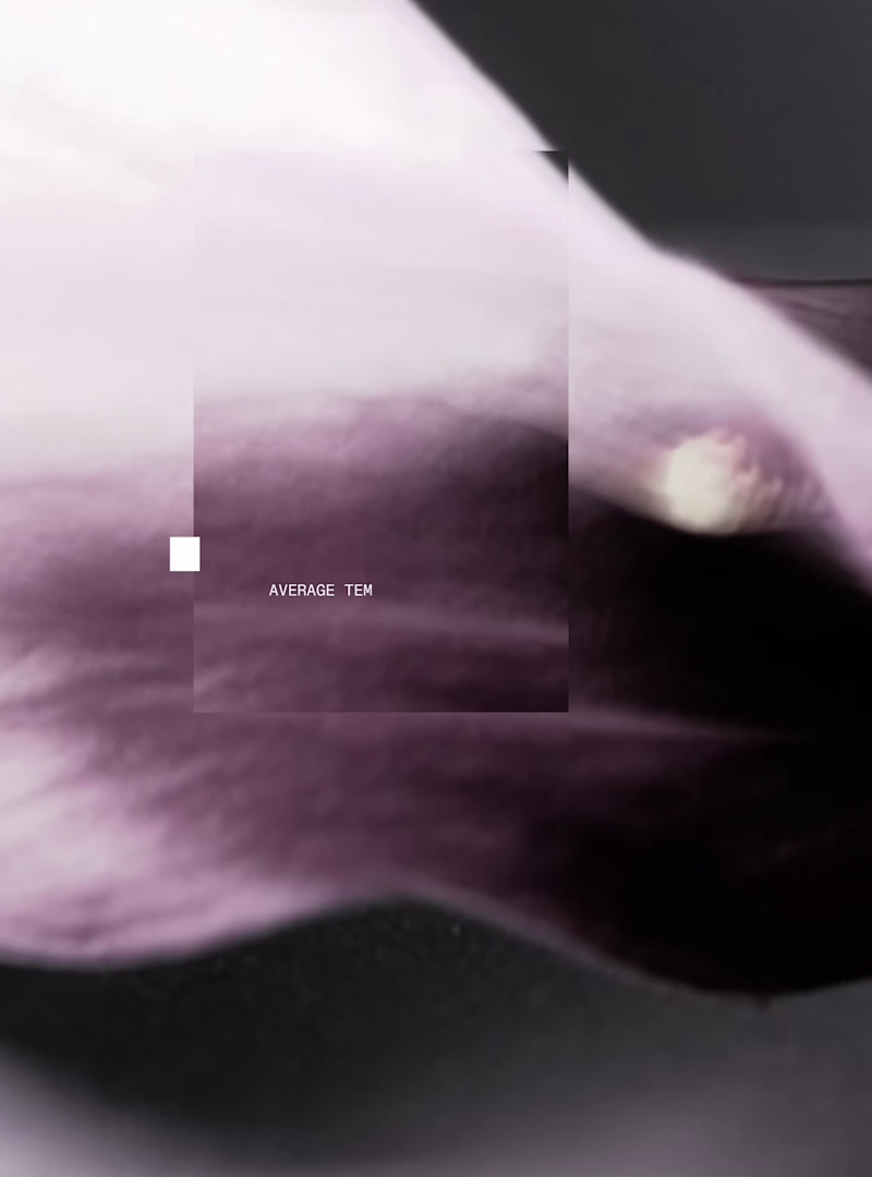 Cover image for Jitter Hackathon - Winners