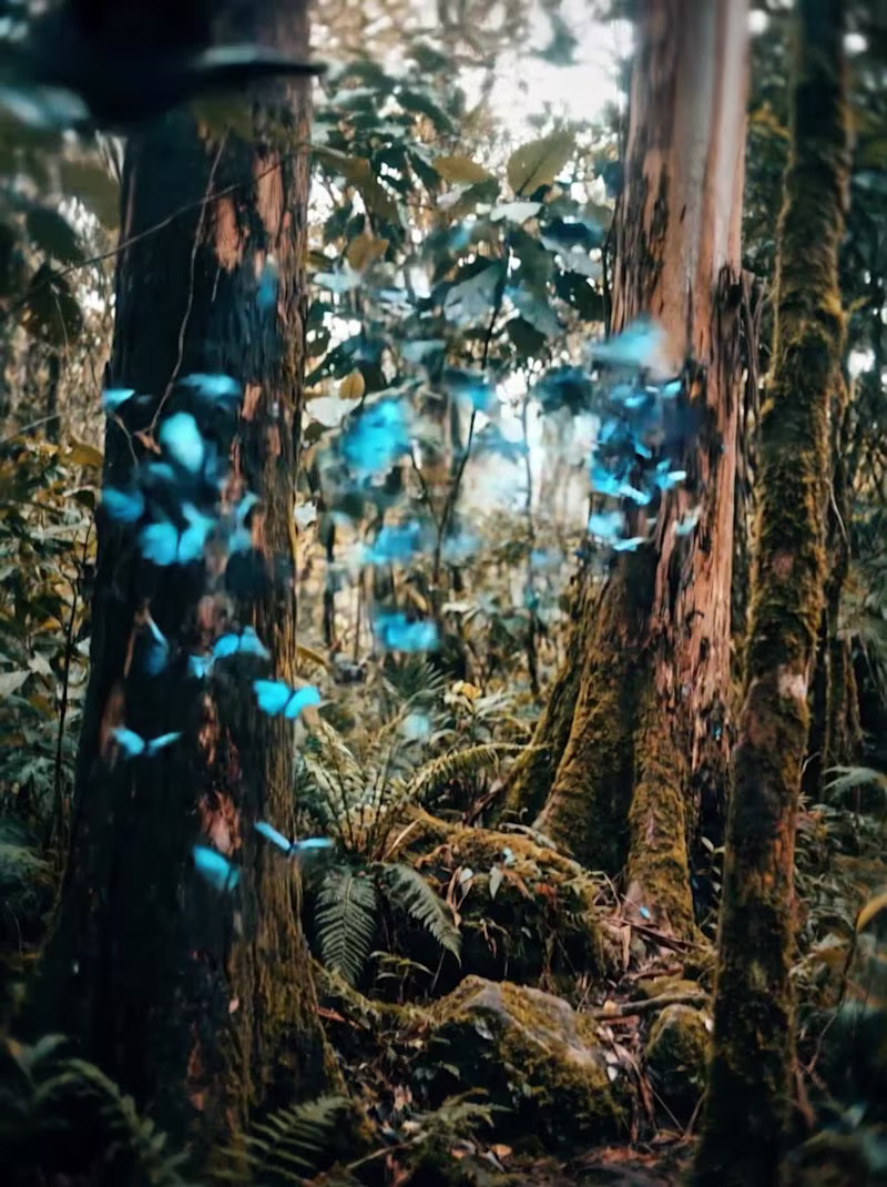 Cover image for BVLGARI - Spec Ad