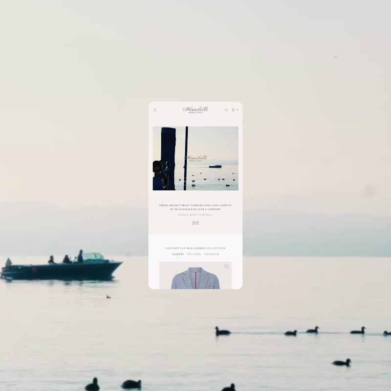 Cover image for Mandelli