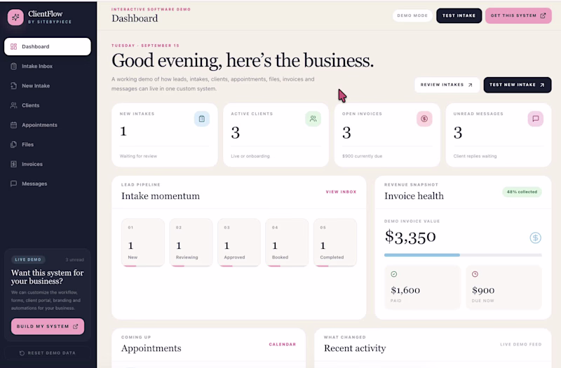 Cover image for ClientFlow Custom Client Intake & Management System