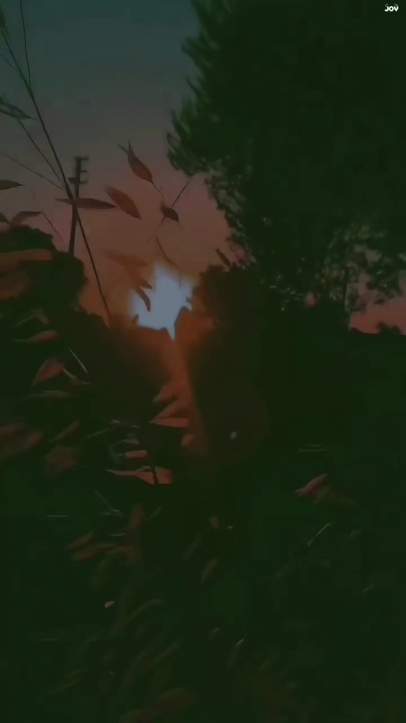 Cover image for "Serenity in the Rain"