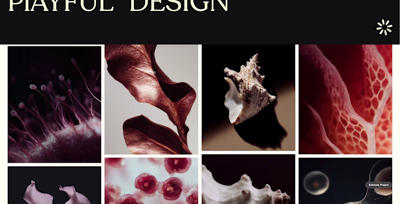 Cover image for Enhance Your Mockups: Download Free Placeholder Nature Photos