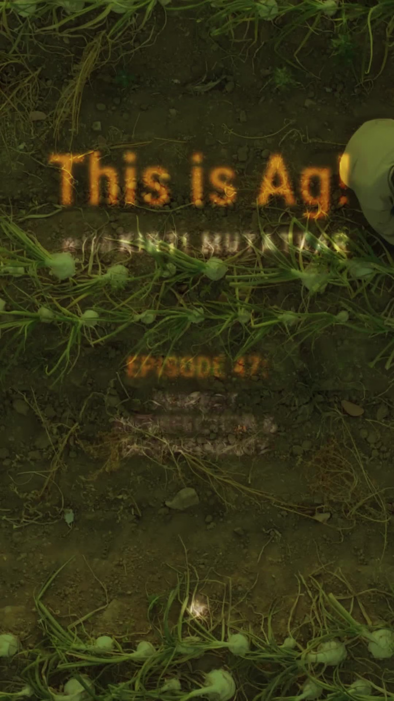 Cover image for Reminder for podcast