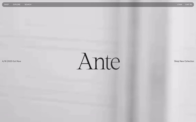 Cover image for A website concept for ANTE,