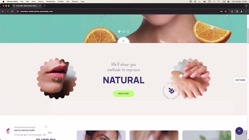 Cover image for Stella: Shopify Beauty Store