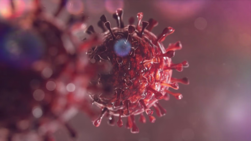 Cover image for Medical Human CGI Montage Reel