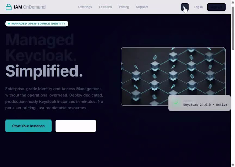 Cover image for IAM OnDemand SaaS Website Design and Optimization
