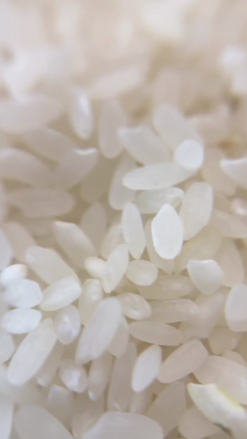 Cover image for Rice Toner from I'm from