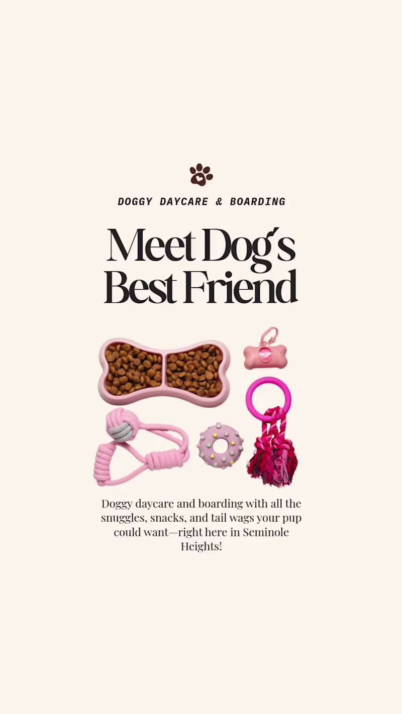 Cover image for Dog Boarding company IG Reel