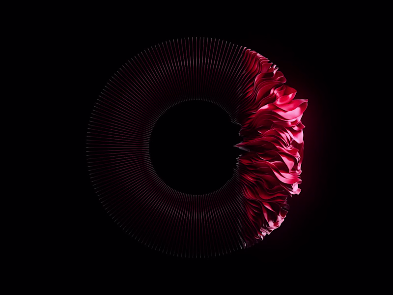Cover image for A circle disrupted. Surface becomes