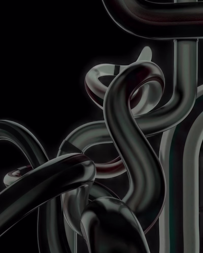 Cover image for The Stylo