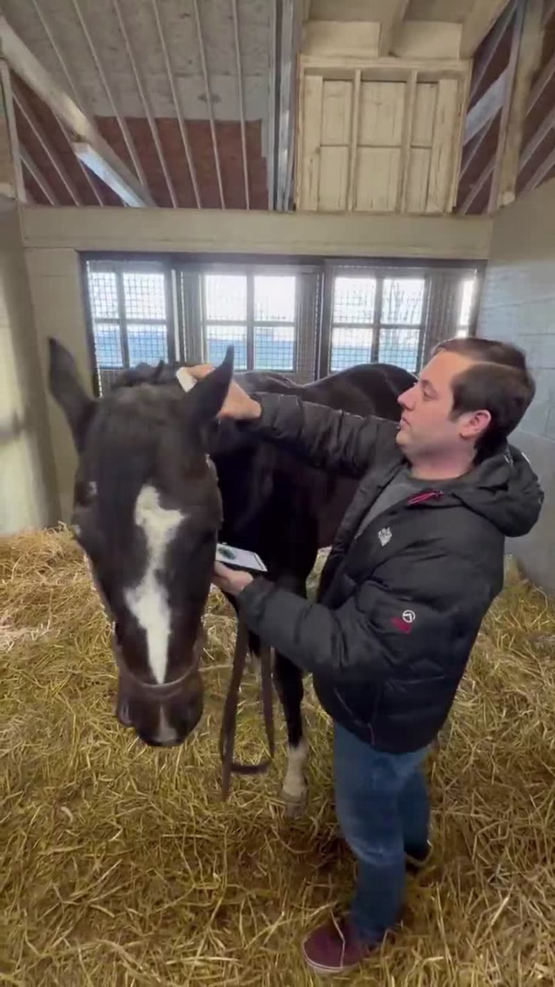 Cover image for StableID: A Bluetooth Connected App for Horse Microchip Scan...