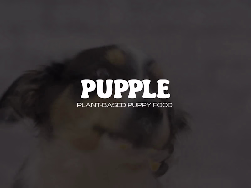 Cover image for PUPPLE Brand Design