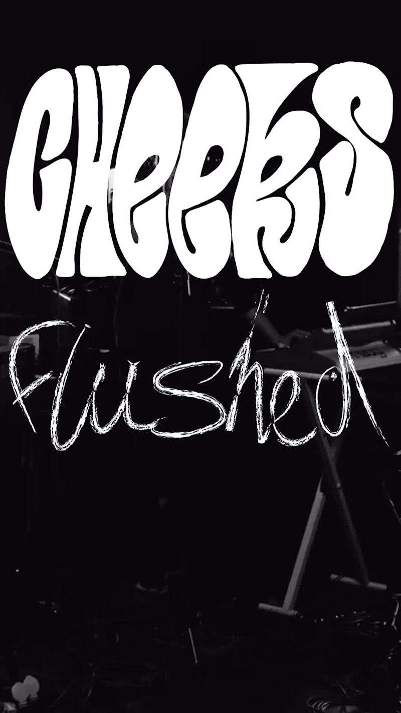 Cover image for This video is a trailer
