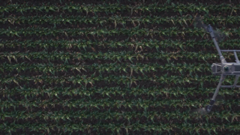 Cover image for Hey Beautiful People! 
I just