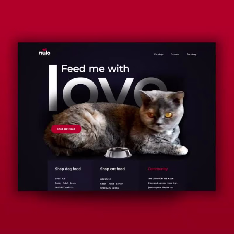 Cover image for A custom website concept and