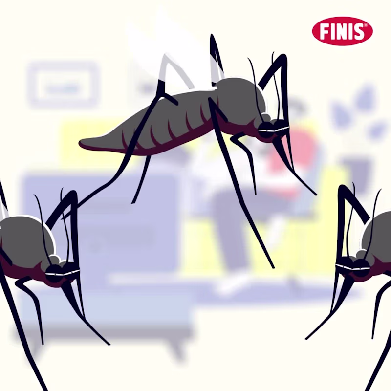 Cover image for 2D Character Animation | Finis