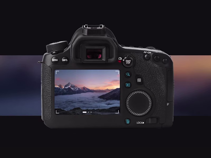 Cover image for Photographers do not look at