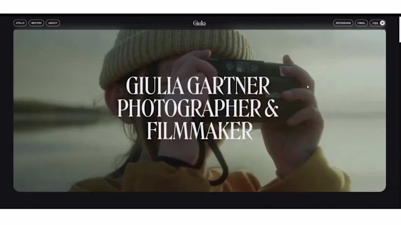 Cover image for The idea was to capture