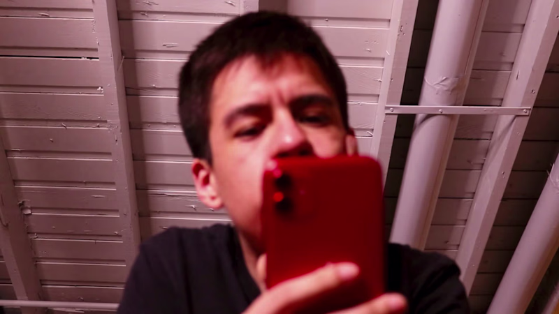 Cover image for The Flower Expo 