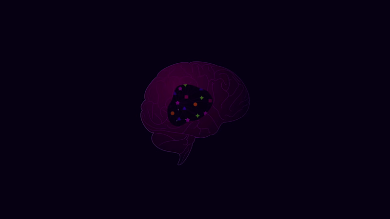 Cover image for Faux 3D Brain Rotation Animation for iDoRecall