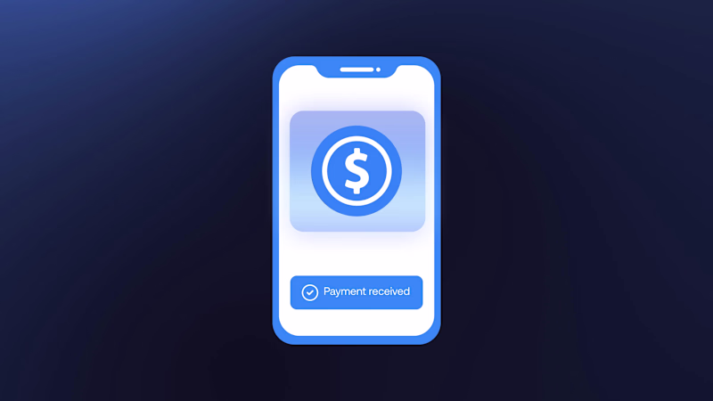 Cover image for Explainer Video for Payer