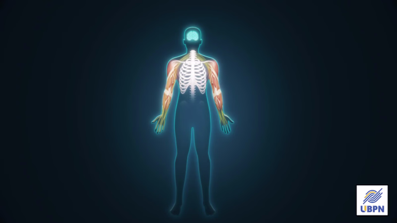 Cover image for Medical fundraising animation