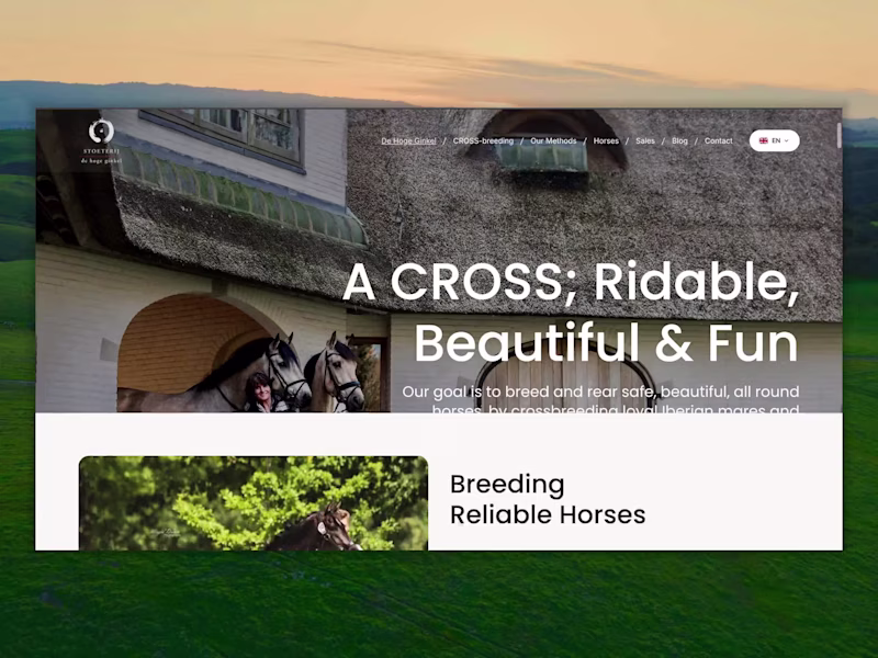 Cover image for Stoeterij De Hoge Ginkel Website Refresh