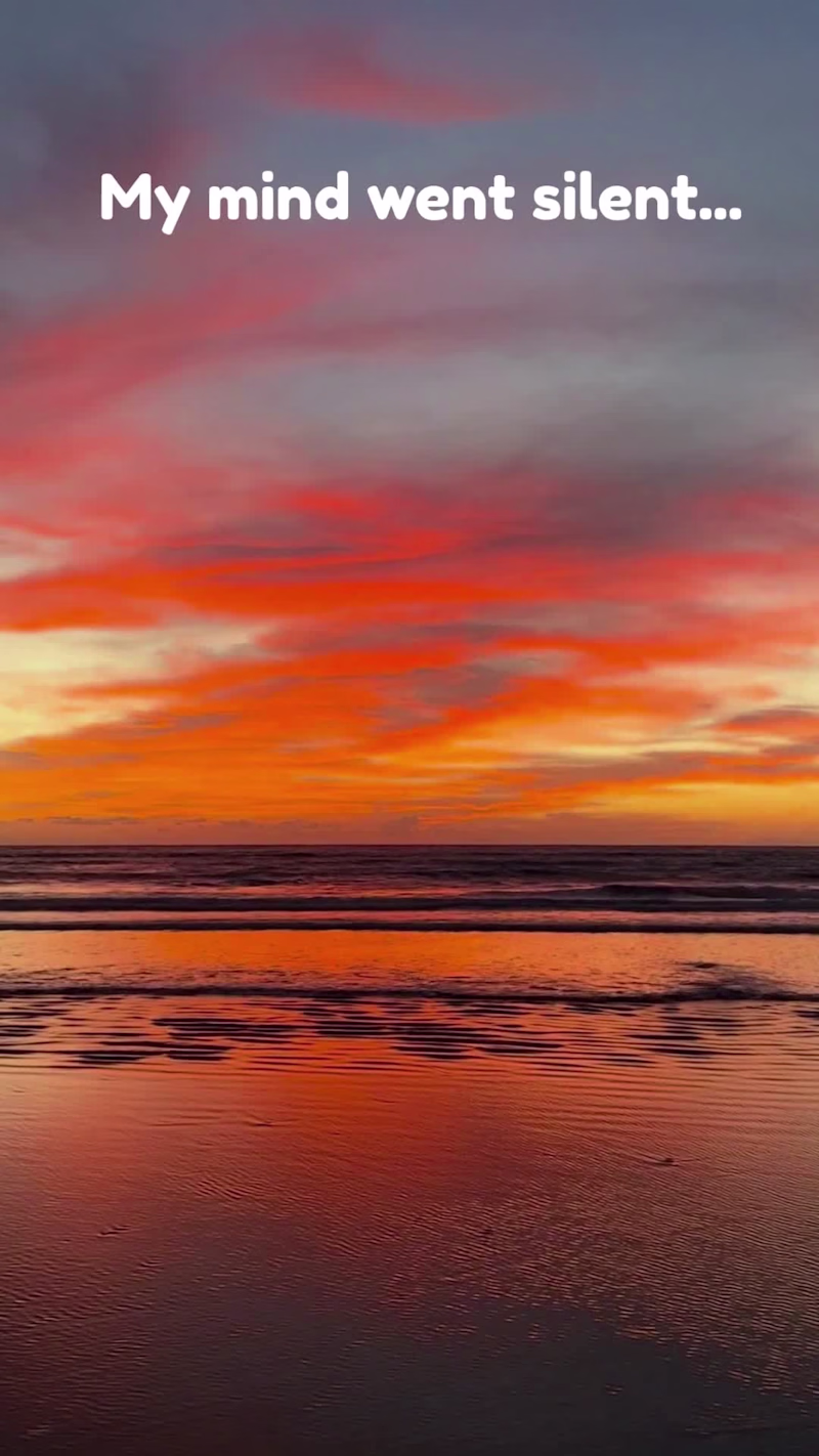 Cover image for Sometimes the mind goes silent when we need it to speak the ...