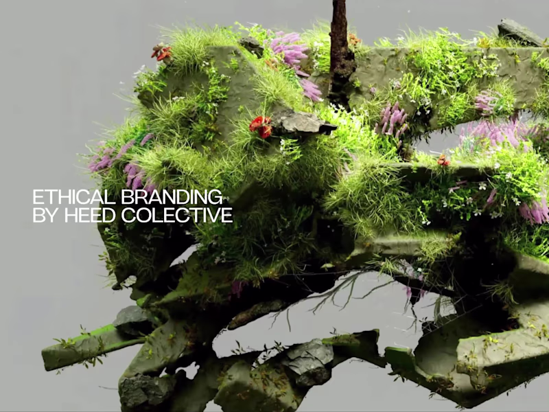 Cover image for Website Design & Development · Heed Collective 
