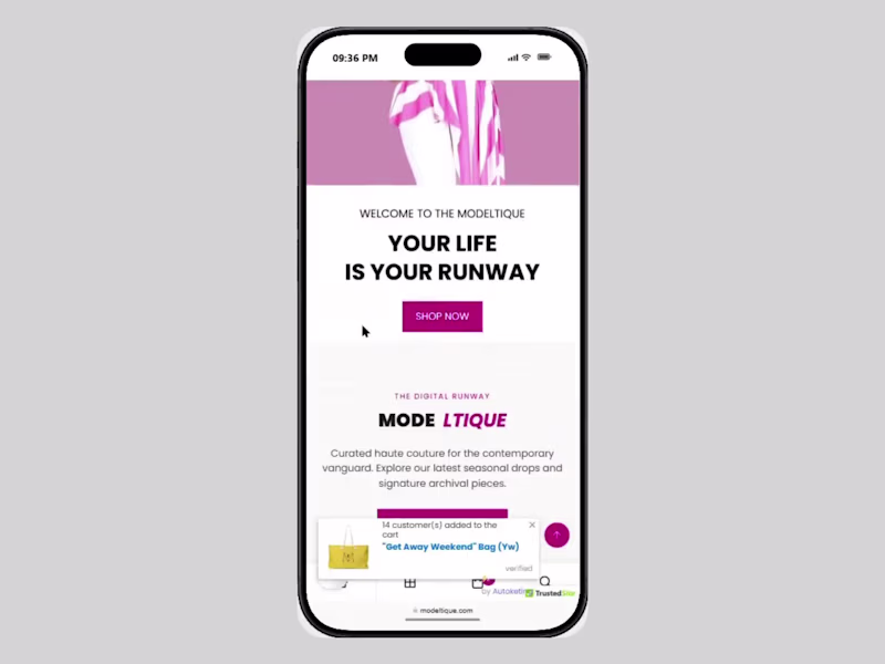 Cover image for Modeltique — Shopify Store Redesign
⤷