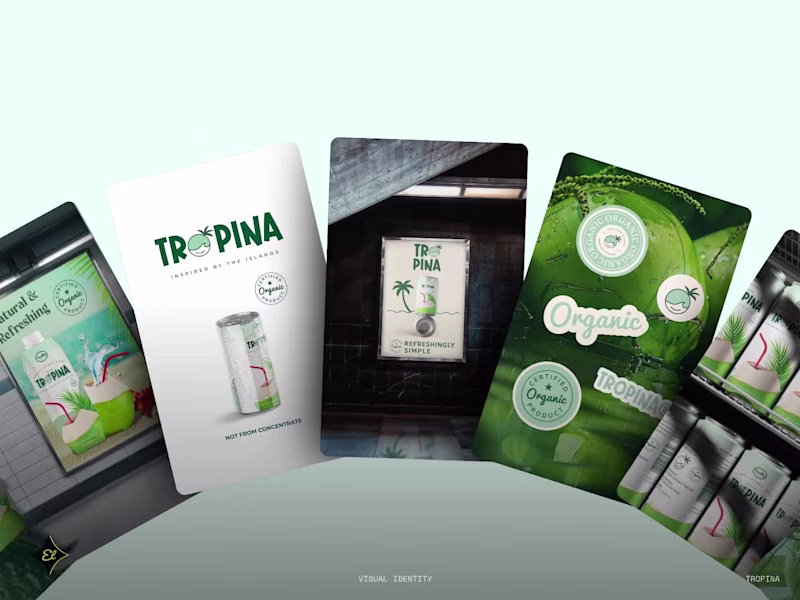 Cover image for Tropina | Visual Brand Identity Design