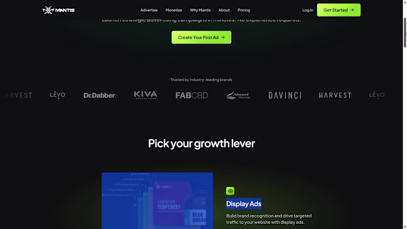 Cover image for Framer Website Design & Development for Mantis Ad Network