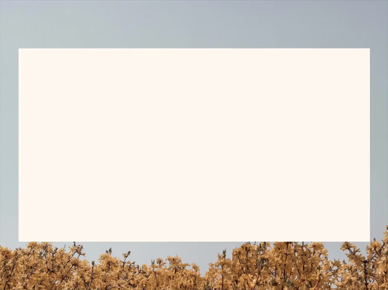 Cover image for Design exploration for Noehat, a mental health platform focu...