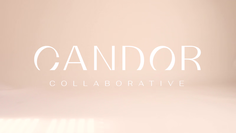 Cover image for Candor Collaborative — little bird creative