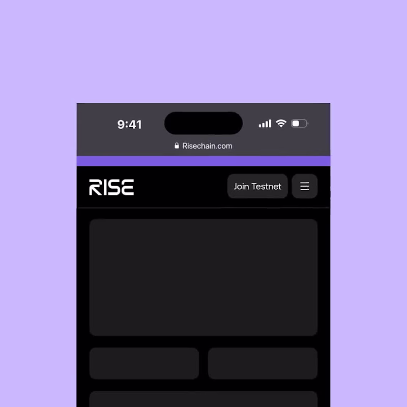 Cover image for RISE Chain Logo Animation Concept